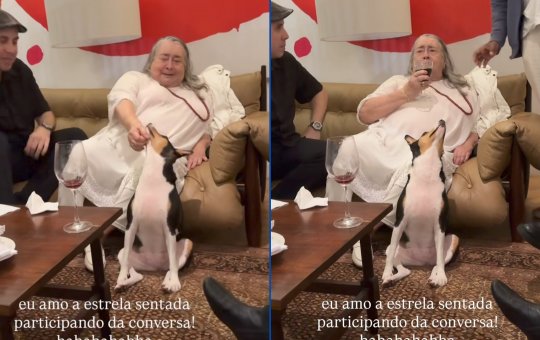 Amigos e mãe de Preta Gil fazem jantar em comemoração à cantora: 'Dia dela'