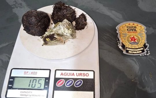 Mulher é presa após polícia encontrar maconha no órgão genital