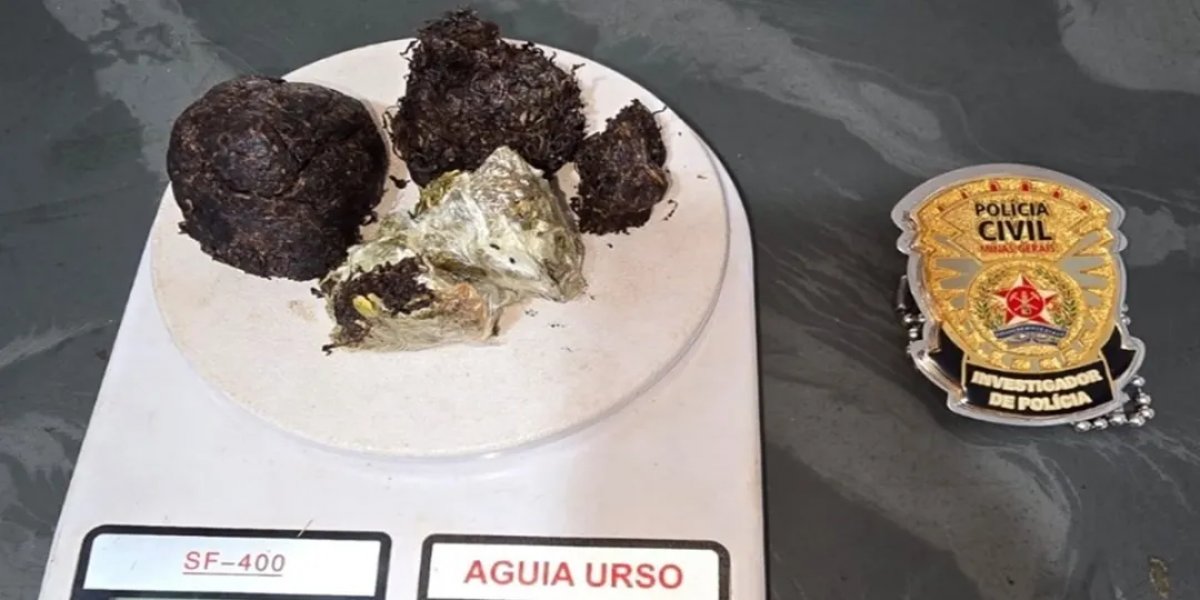 Porção de maconha apreendida
