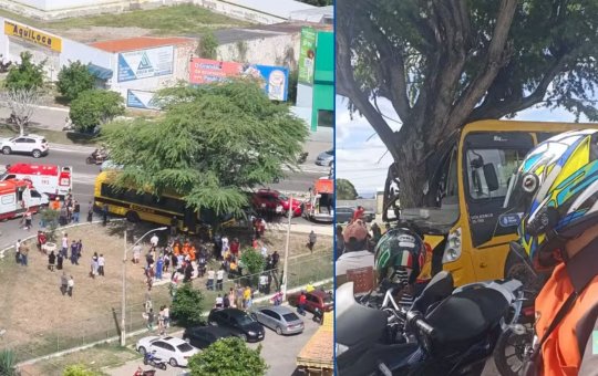 Ônibus escolar com mais de 50 alunos bate em árvore em Paulo Afonso; 10 ficam feridos