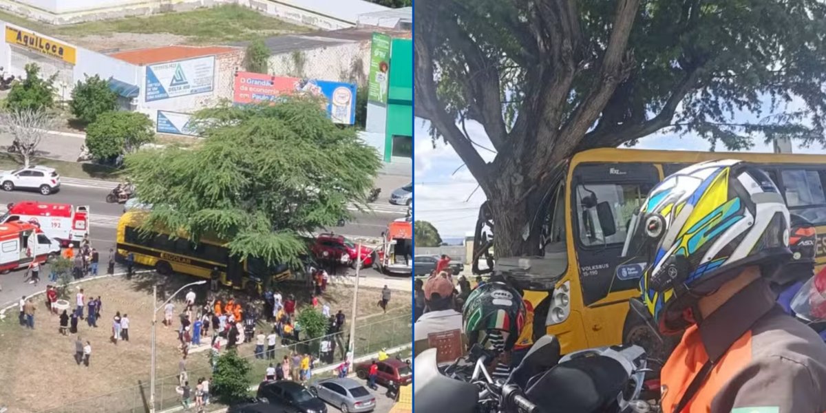 Ônibus escolar com mais de 50 alunos bate em árvore em Paulo Afonso; 10 ficam feridos