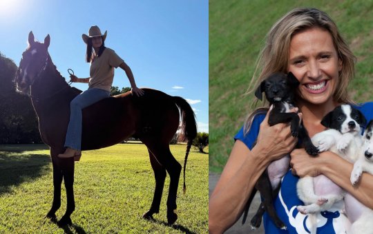 Ana Castela e Luísa Mell cobram justiça para cavalo que teve patas mutiladas com facão