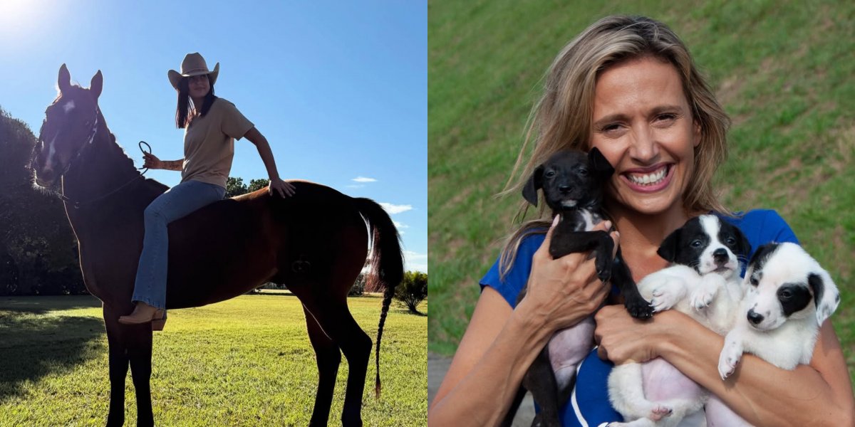 Ana Castela e seu cavalo, e Luisa Mell com filhotes 