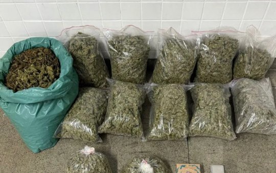 30 quilos de maconha são apreendidos pela PM em Feira de Santana