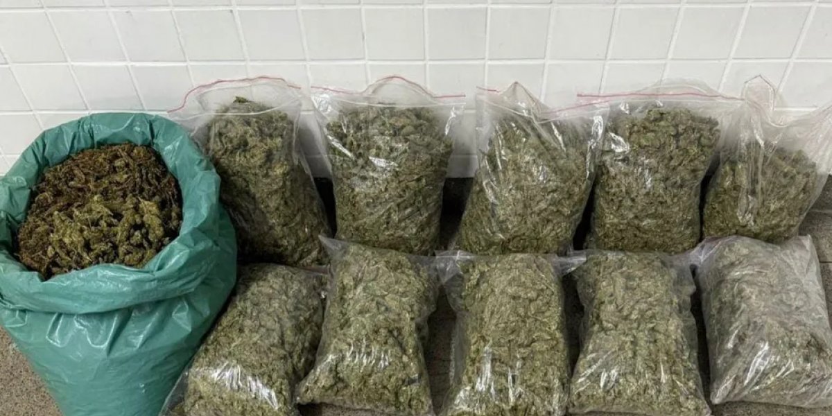 30 quilos de maconha são apreendidos pela PM em Feira de Santana