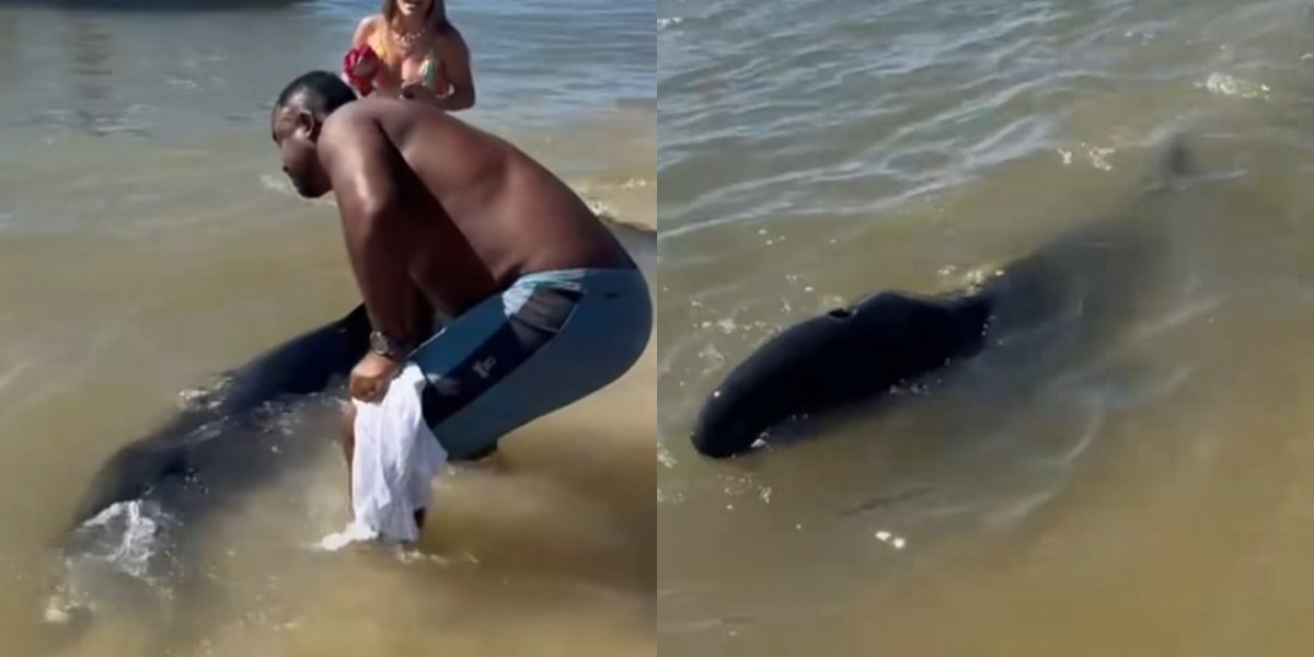 Falsa orca é avistada na praia da Gamboa e mobiliza equipes de resgate em Cairu