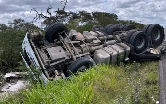 Motorista capota carreta após ser atacado por enxame de abelhas