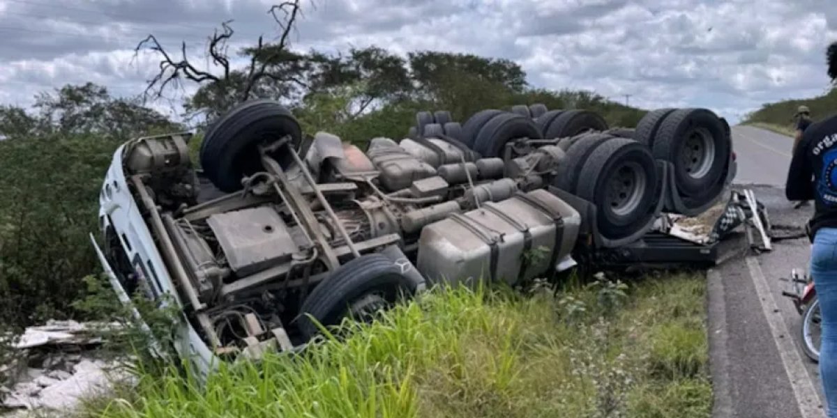 Motorista capota carreta após ser atacado por enxame de abelhas