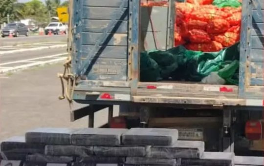 Homem tenta subornar polícia após ser pego com 500 kg de droga na Bahia