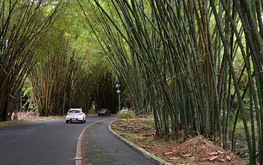 Motorista por aplicativo e passageiros são vítimas de assalto no Bambuzal do Aeroporto de Salvador