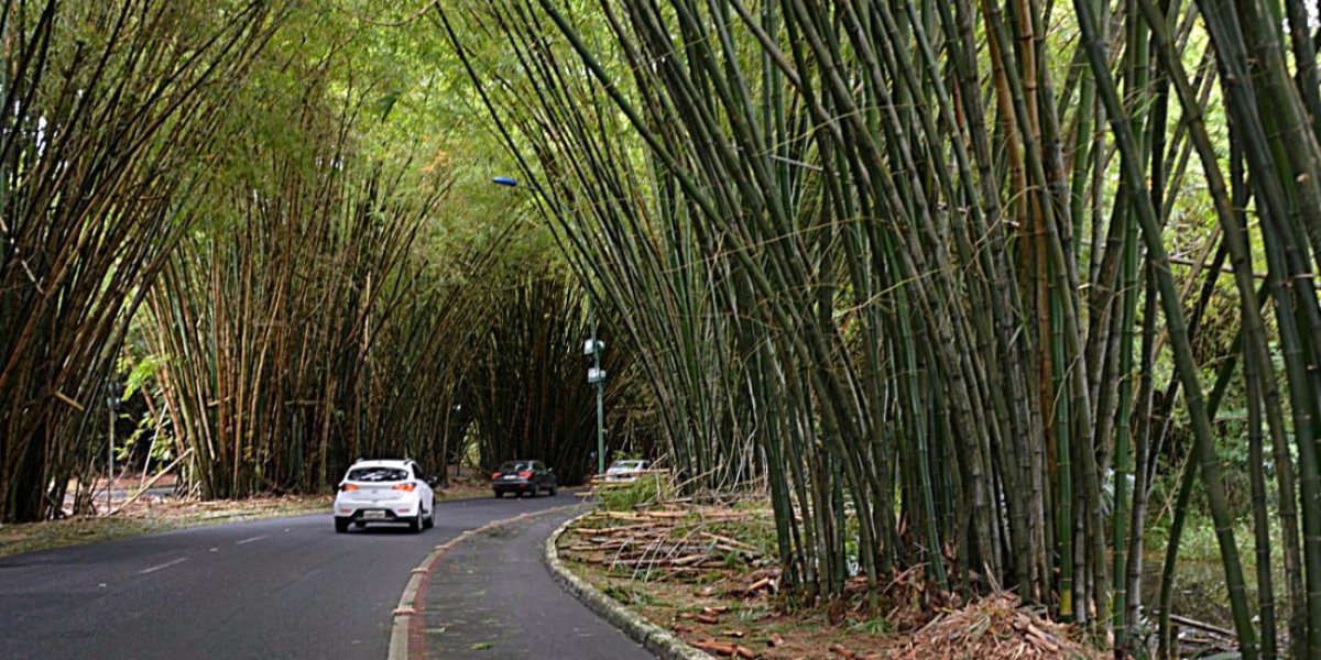 Motorista por aplicativo e passageiros são vítimas de assalto no Bambuzal do Aeroporto de Salvador
