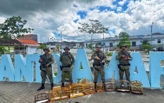 Polícia apreende 27 animais silvestres em Santo Amaro