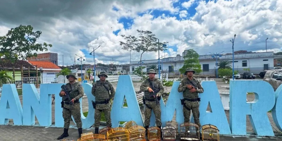 Polícia apreende 27 animais silvestres em Santo Amaro