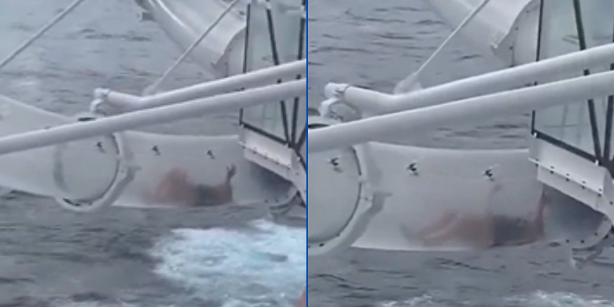 Mulher fica presa em toboágua de cruzeiro a 48 metros do mar no Alasca