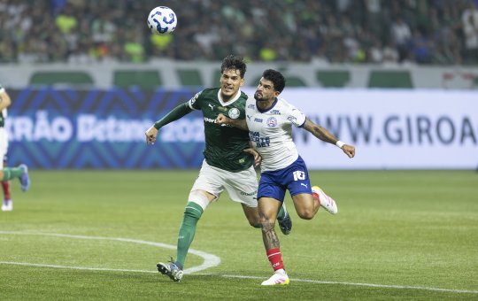 Bahia x Palmeiras; Onde assistir, prováveis escalações e arbitragem da partida pela 25ª rodada do Brasileirão