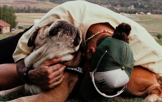 Lewis Hamilton anuncia o falecimento de seu cachorro, Roscoe: "Meu melhor amigo"