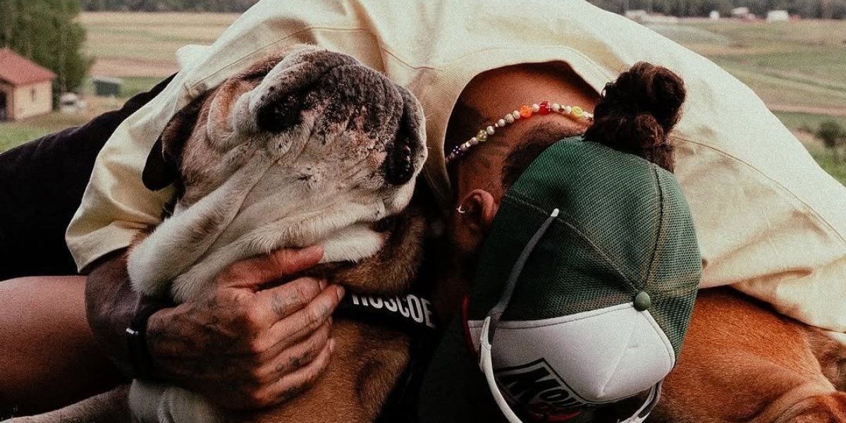Lewis Hamilton anuncia o falecimento de seu cachorro, Roscoe: "Meu melhor amigo"