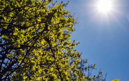 Saiba a previsão do tempo para este fim de semana em Salvador