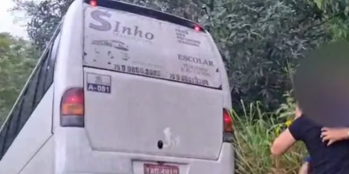 Ônibus que transportava estudantes sai da rodovia e cai em barranco na Bahia