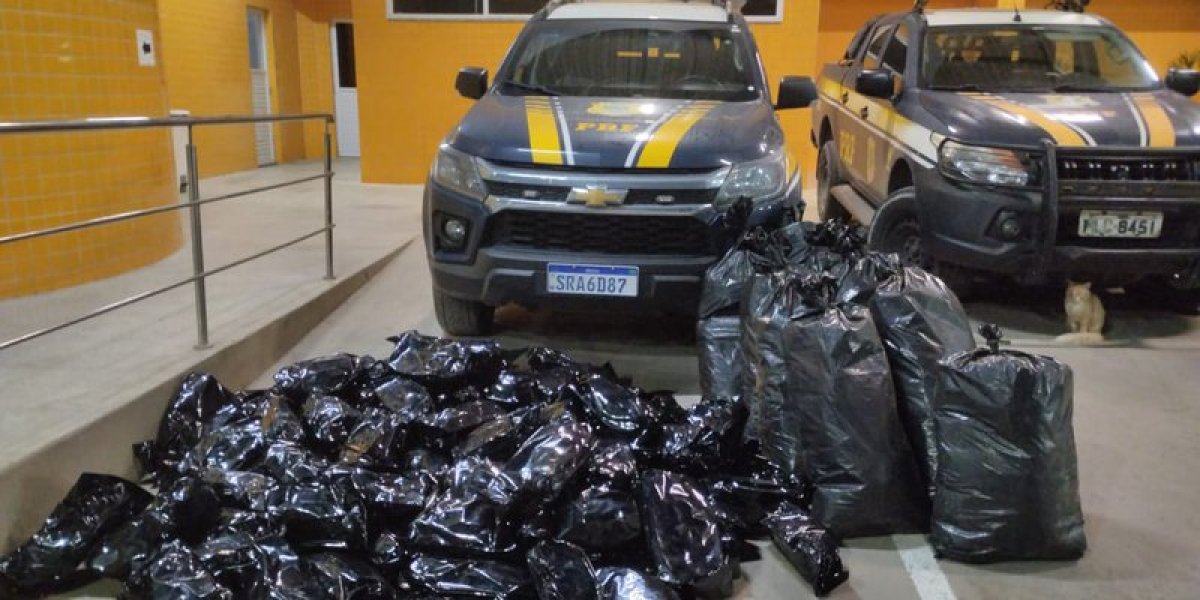 Carga de 109 kg com destino a Salvador é interceptada e apreendida pela PRF