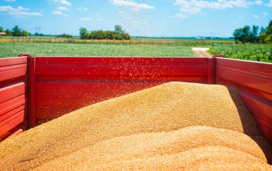 Trabalhador rural morre soterrado após cair em armazém de soja na Bahia