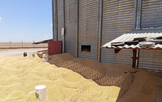 MPT investiga morte de trabalhador em acidente dentro de silo no oeste da Bahia