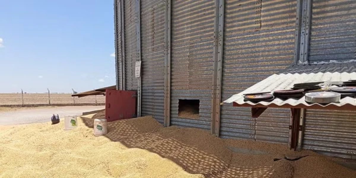 MPT investiga morte de trabalhador em acidente dentro de silo no oeste da Bahia