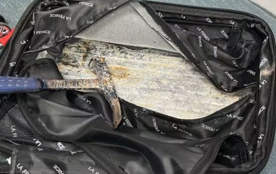 Jovem é detida no aeroporto de Salvador ao tentar embarcar para a França com cocaína na mala