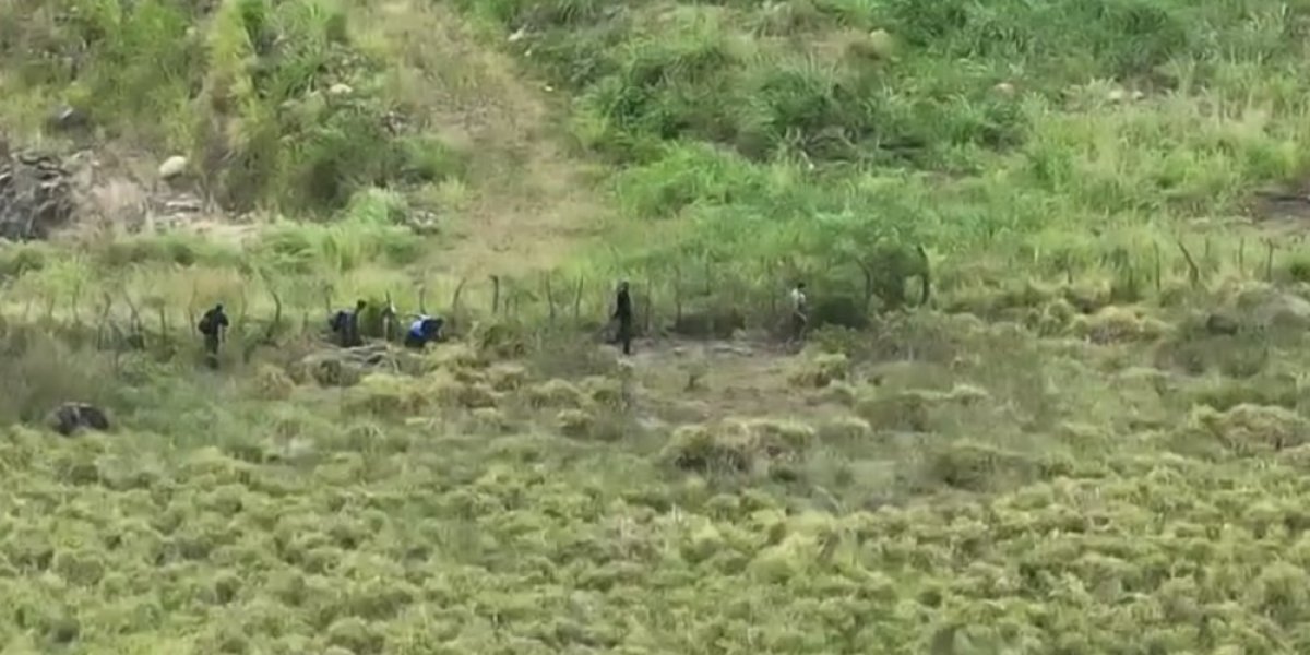 Suspeitos fogem para a mata durante operação policial no Recôncavo baiano