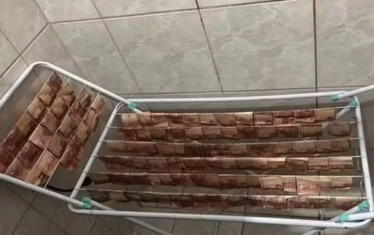 Operação em Santa Catarina encontra dinheiro secando em varal e investiga lavagem de mais de R$ 10 milhões