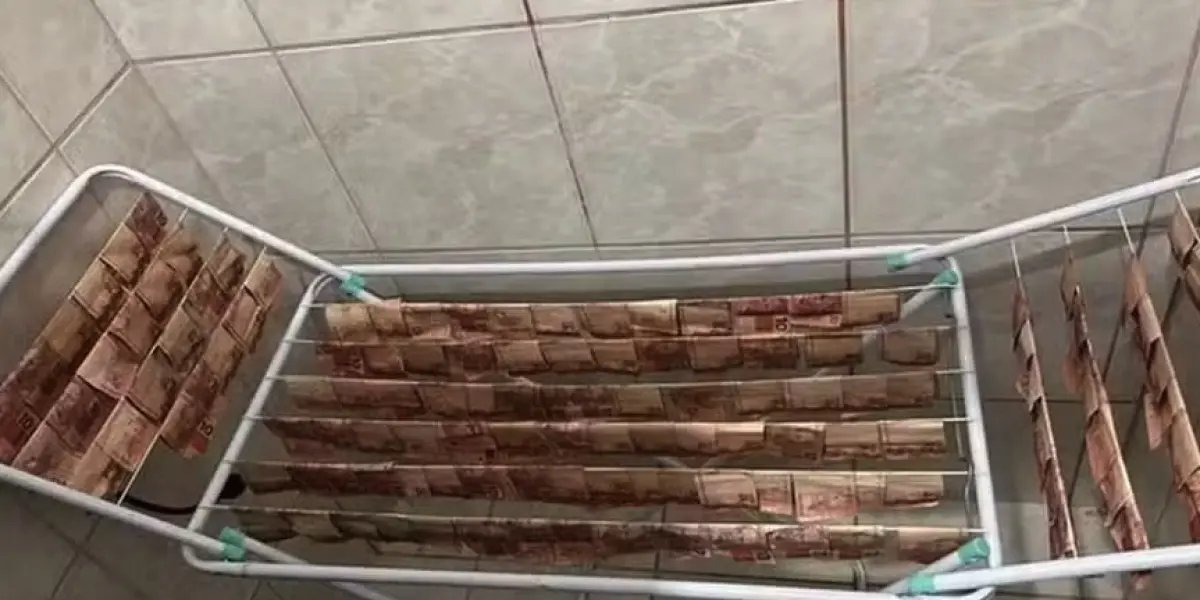 Operação em Santa Catarina encontra dinheiro secando em varal e investiga lavagem de mais de R$ 10 milhões