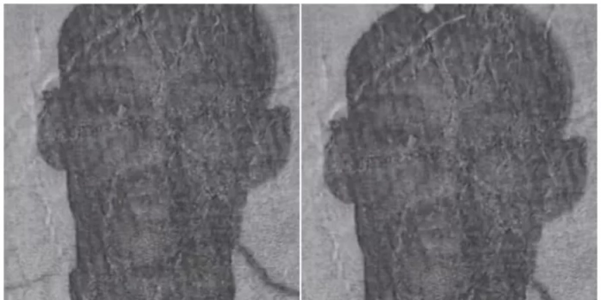 Jovem de 19 anos é morto a tiros dentro de casa em Conceição do Jacuípe