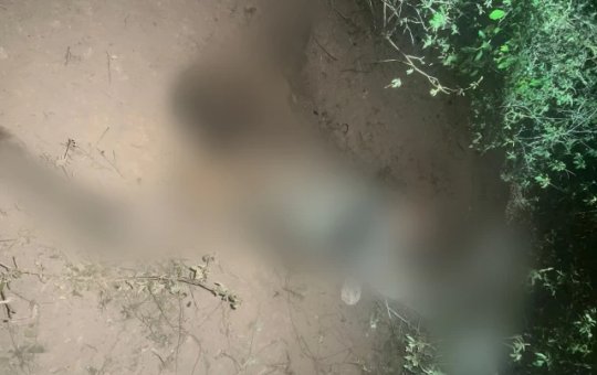 Corpo em decomposição é encontrado em área de mata no bairro Tomba, em Feira de Santana