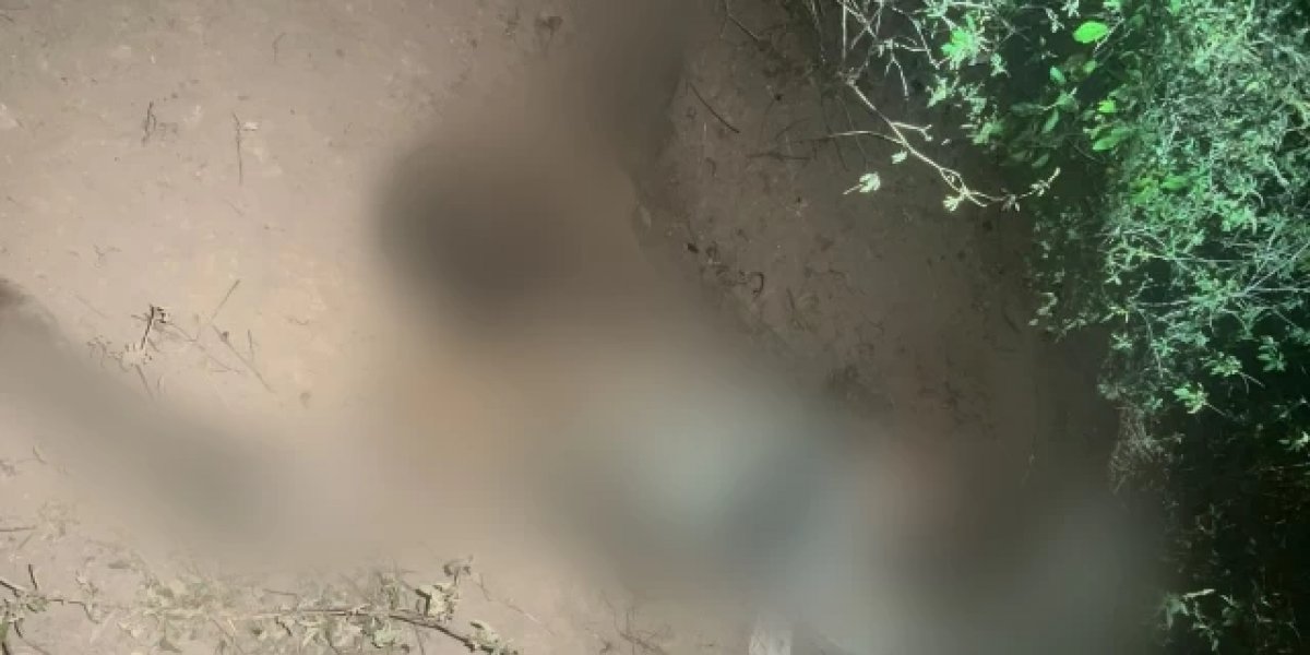Corpo em decomposição é encontrado em área de mata no bairro Tomba, em Feira de Santana
