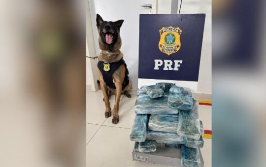 PRF apreende mais de 25 kg de drogas em ônibus na Bahia