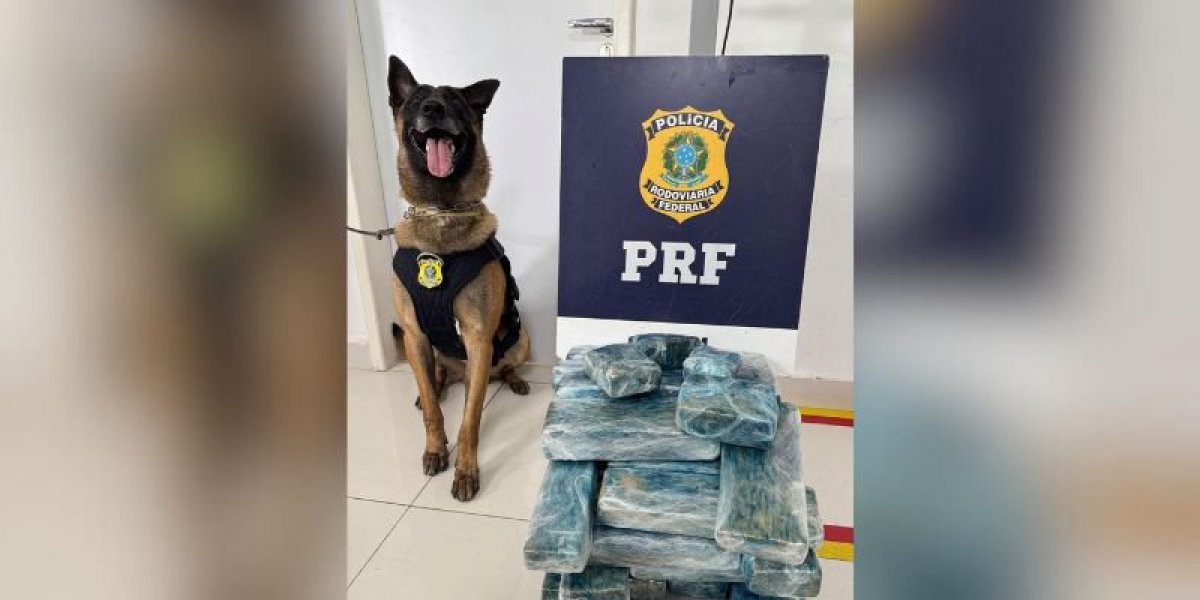 PRF apreende mais de 25 kg de drogas em ônibus na Bahia