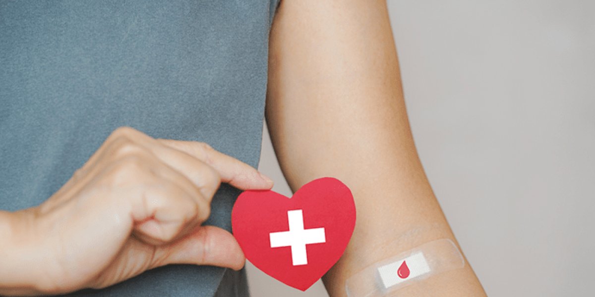 Estoques em nível crítico: Dia do Doador de Sangue alerta para necessidade urgente de voluntários