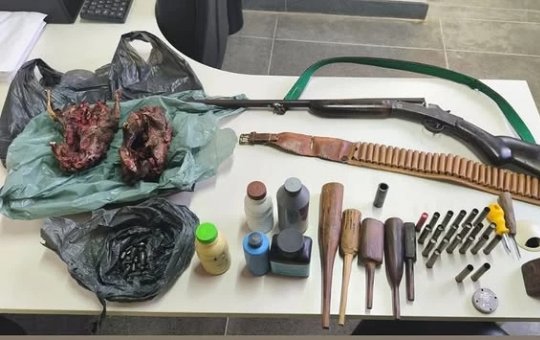 Homem é preso com arma, munições e animais abatidos na BA-330, em Gentio do Ouro