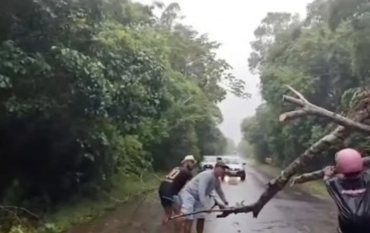 Chuva derruba árvores na BA-001 entre Ilhéus e Itacaré e bloqueia totalmente a rodovia