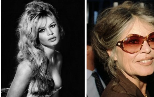 Aos 91 anos, morre Brigitte Bardot, estrela de cinema francesa