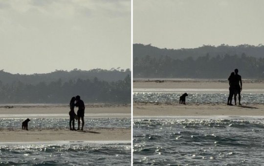 Bruna Marquezine e Shawn Mendes são vistos juntos em praia e internet suspeita de beijo