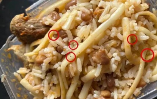 Após ter namoro proibido, adolescente tenta envenenar os próprios pais