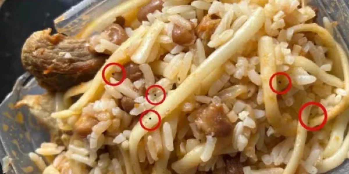 Após ter namoro proibido, adolescente tenta envenenar os próprios pais