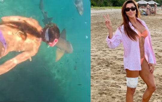 Tubarão morde turista durante mergulho em Fernando de Noronha