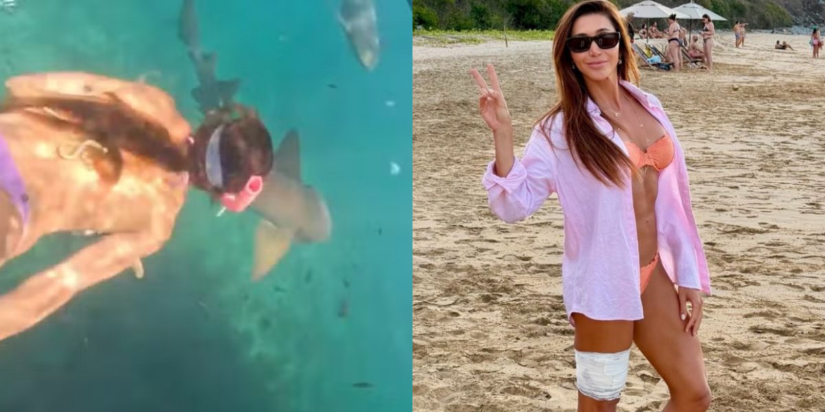 Tubarão morde turista durante mergulho em Fernando de Noronha