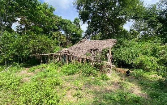 Cães farejadores indicam que crianças passaram por casa abandonada em Bacabal, interior do Maranhão