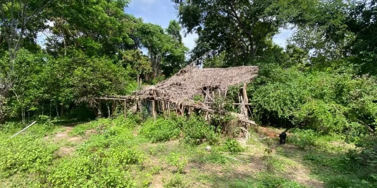Cães farejadores indicam que crianças passaram por casa abandonada em Bacabal, interior do Maranhão