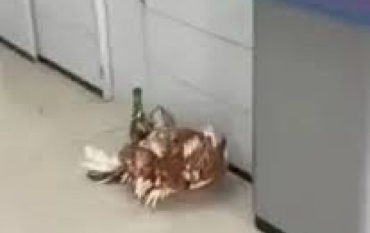 Oferenda é encontrada em agência bancária na Bahia