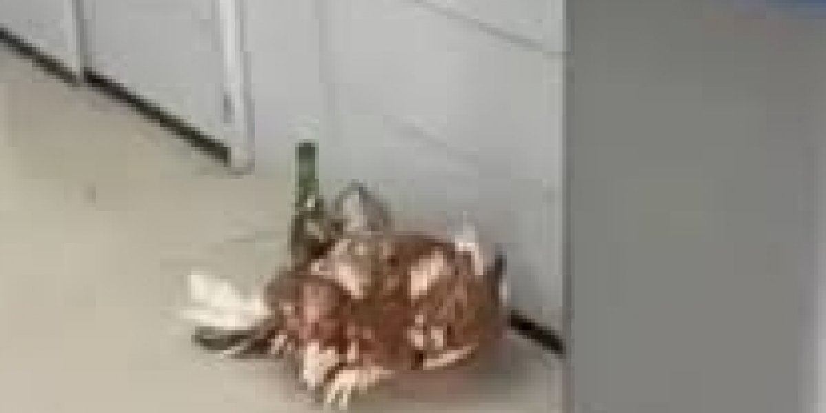 Oferenda é encontrada em agência bancária na Bahia