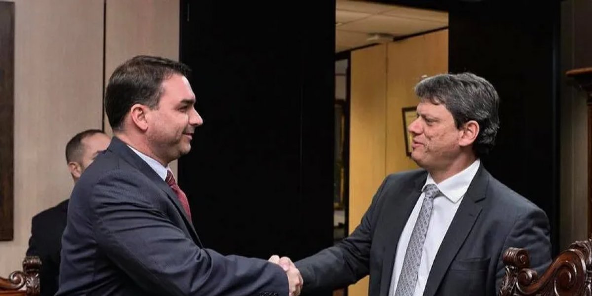 Flávio Bolsonaro e Tarcísio de Freitas